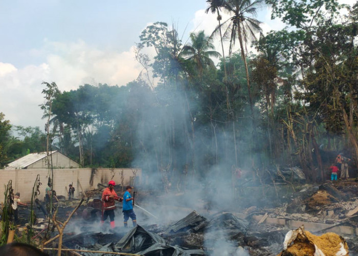 Kandang Ayam di Kotayasa Banyumas Terbakar, Kerugian Capai Rp212 Juta