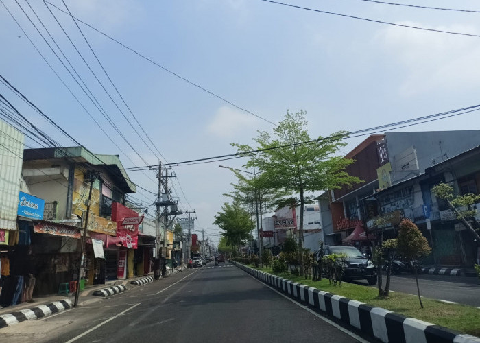 Pernah Jadi Tempat Sampah, Median Jalan Jensoed Kini Rapi dan Bersih