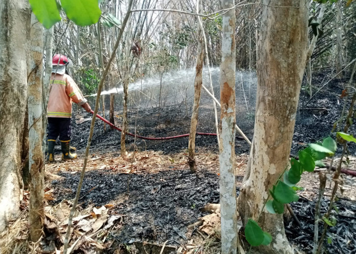 Karhutla Hanguskan 2,5 Hektare di Banyumas, Api Mendekati Permukiman Warga