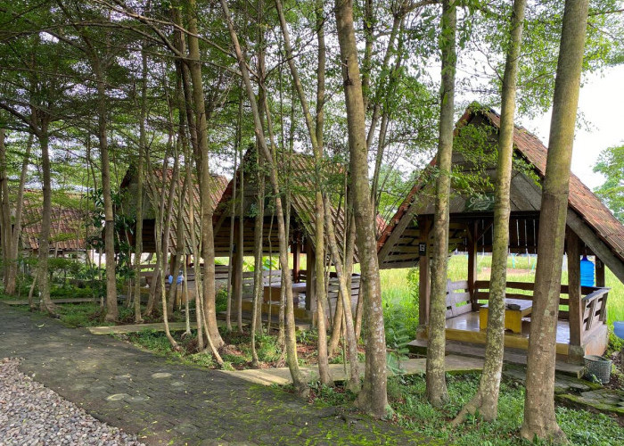Godhong Ijo, Warung Makan Asri Bernuansa Alam dengan Menu Sambal Ijo Khas dan Cita Rasa Rumahan