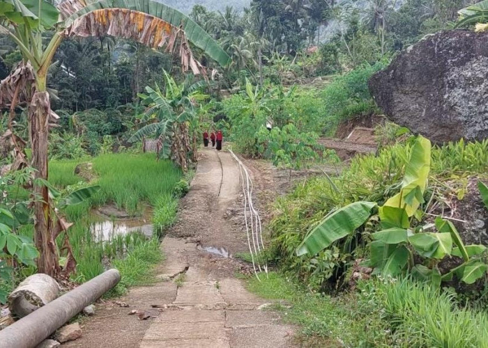 Kecamatan Sempor Kebumen Fokus Relokasi Warga  Akibat Tanah Bergerak