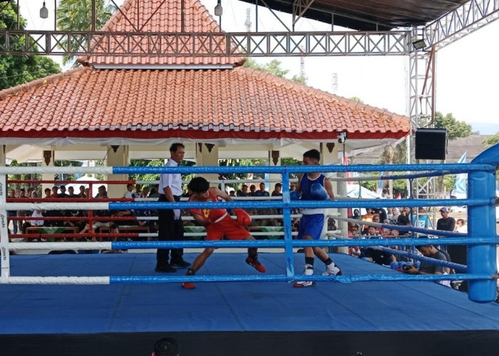 255 Petinju Siap Adu Jotos di Banjarnegara, Tiket Porprov Jadi Taruhan