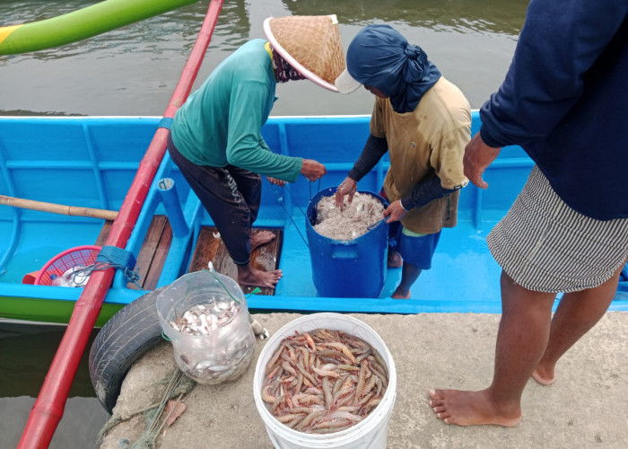 Nelayan Cilacap Minta Sungai Kaliyasa Dikeruk, Terakhir Tahun 1995