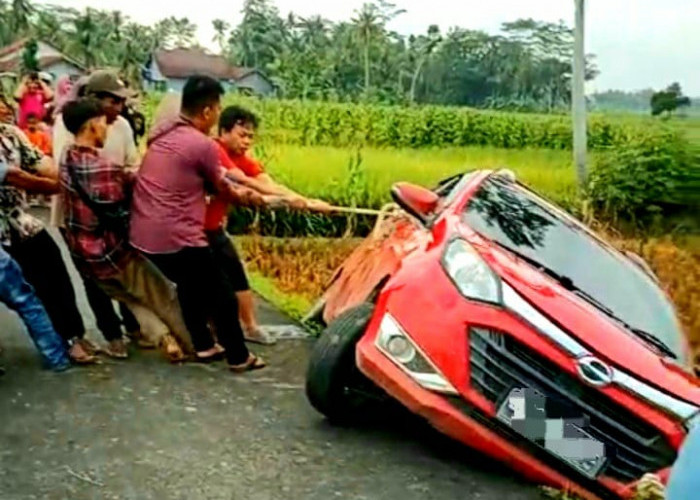 Diduga Sopir Mengantuk, Toyota Calya Masuk Sawah di Cimanggu