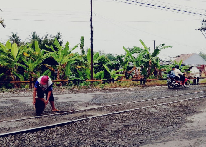 Warga Banyumas Urug Rel Demi Cegah Pengendara Jatuh, Aspal Rusak di Perlintasan Kian Parah