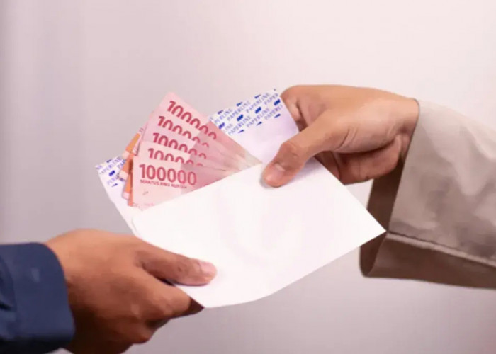 Panduan Lengkap Cek Status Bantuan Subsidi Upah (BSU) 2025