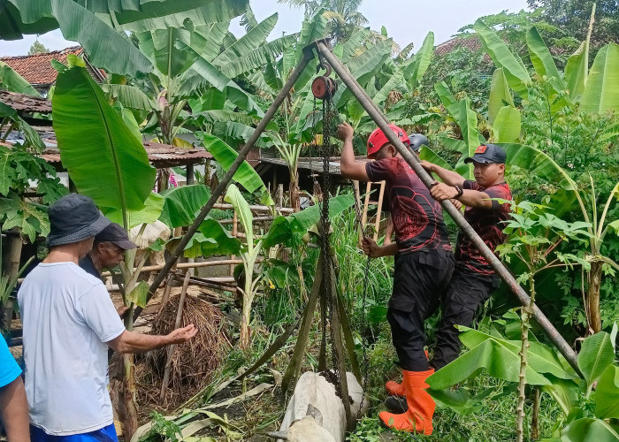 Sapi Milik Warga Sokawera Terperosok Selokan Sedalam 3 Meter, Sempat Dikira Hilang