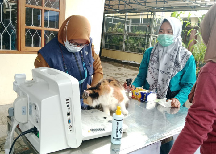 Cegah Rabies, Ratusan Hewan Peliharaan di Cilacap Jalani Vaksinasi dan Pemeriksaan Gratis