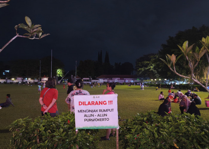 Ongkos Perawatan Mahal, DLH Tegaskan Larangan Injak Rumput Alun-alun Purwokerto