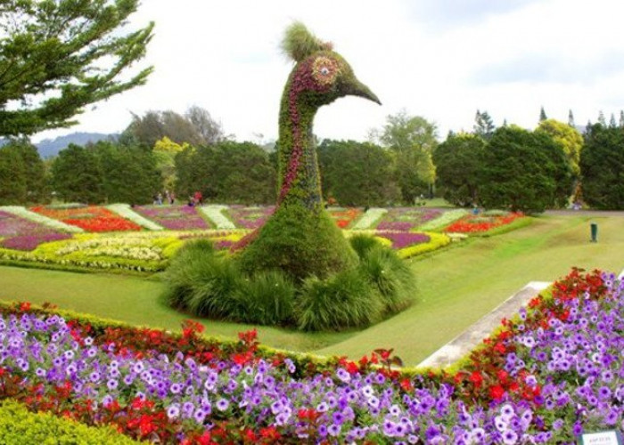 Taman Bunga Nusantara, Wisata Menarik Taman Penuh Ribuan Jenis Bunga