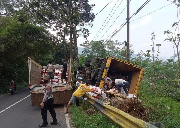 Hindari Kendaraan Berhenti Mendadak, Truk Bok Terguling ke Kebun Warga di Bayeman Purbalingga 