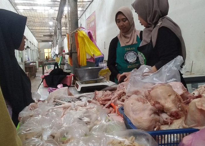  Pedagang Daging Ayam Broiler Pasar Sumpiuh Pasok Dapur MBG