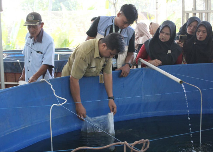 Mahasiswa Farmasi UMP Hadirkan Inovasi Nyata Cegah Anemia Remaja di Desa Kalisalak