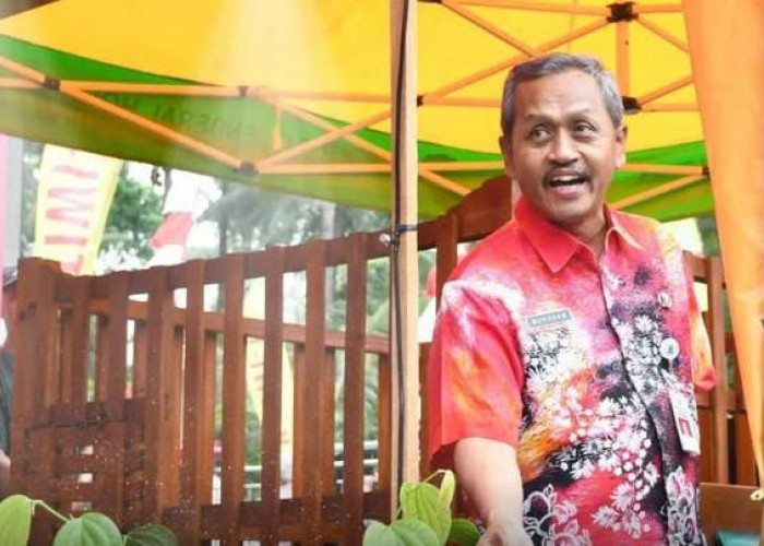 Aplikasi E-Katalog Versi 6 Baru Dibuka, Lelang Kegiatan di DPUPR Belum Terlaksana