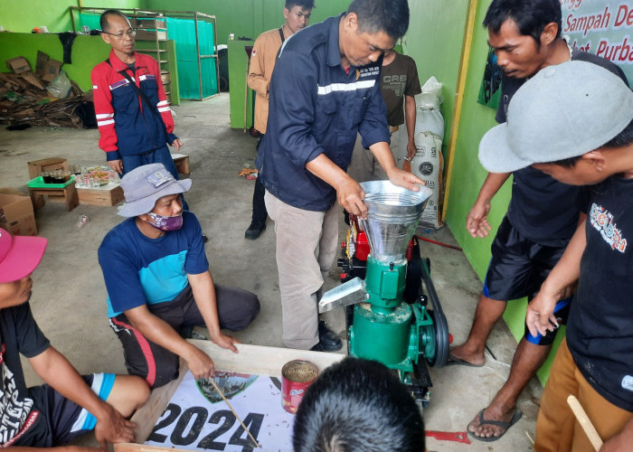 IKI MAANTAP ! STT Wiworotomo Puwokerto Menerapkan Teknologi Pembuatan Pellet Berbahan Baku Maggot