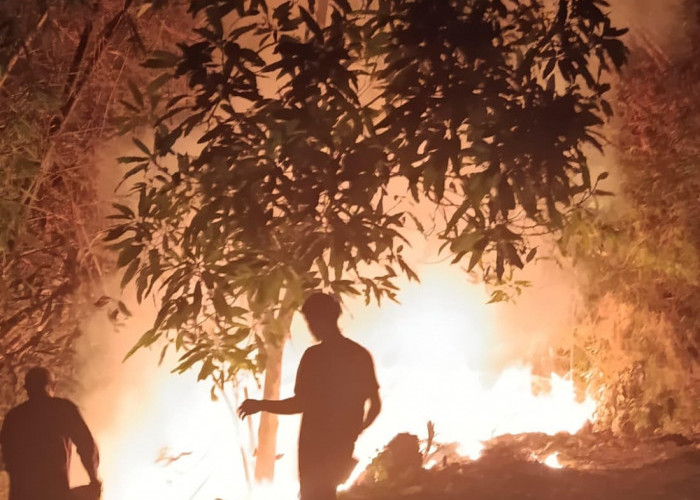 Karhutla Banyumas Hanguskan 47,2 Hektare, 13 Kejadian Terjadi Dua Pekan Terakhir