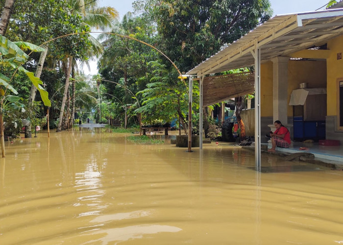 Ratusan Desa di Kabupaten Cilacap Rawan Bencana, Paling Banyak Bencana Banjir 