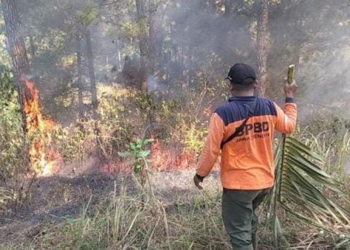 Karhutla Banyumas Capai Sembilan Kasus, Lahan Kering Terbakar hingga 10 Hektare