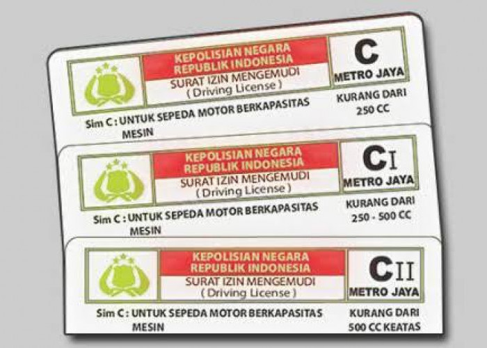 Wajib Tahu! Perbedaan SIM Motor Listrik dan SIM C 