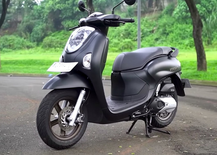 Harga Motor Bekas Honda Scoopy Termurah Mulai Rp15 Jutaan, ini Daftarnya