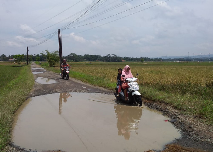 Pengguna Jalan Sebut Jalur Lingkar Selatan Seperti Empang 