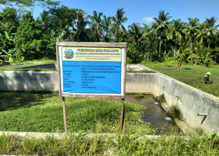 Mina Wisata Desa Pancasan Tunggu Siteplan Meski Sudah Bangun Kolam