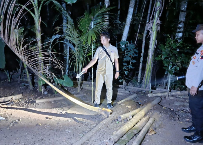 Lansia di Kemangkon Meninggal Dunia Jatuh dari Pohon Kelapa Setinggi 8 Meter