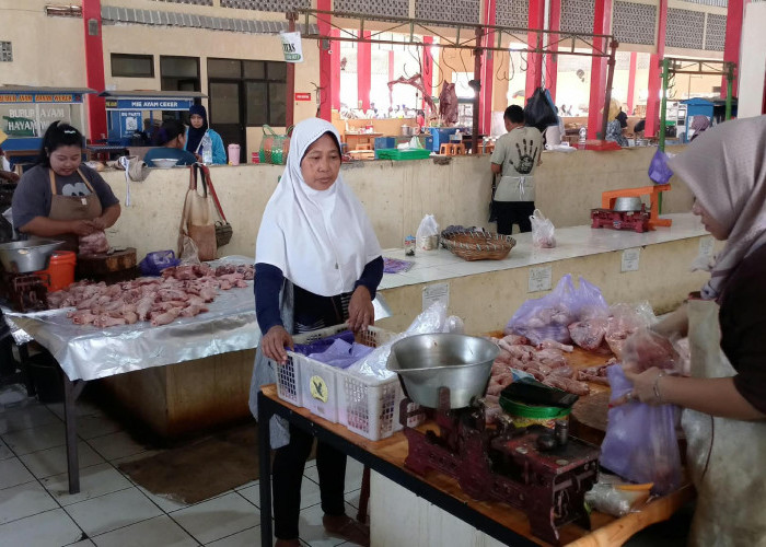 Harga Daging Ayam Tembus Rp43 Ribu per Kg, Daging Sapi di Purbalingga Capai Rp160 Ribu