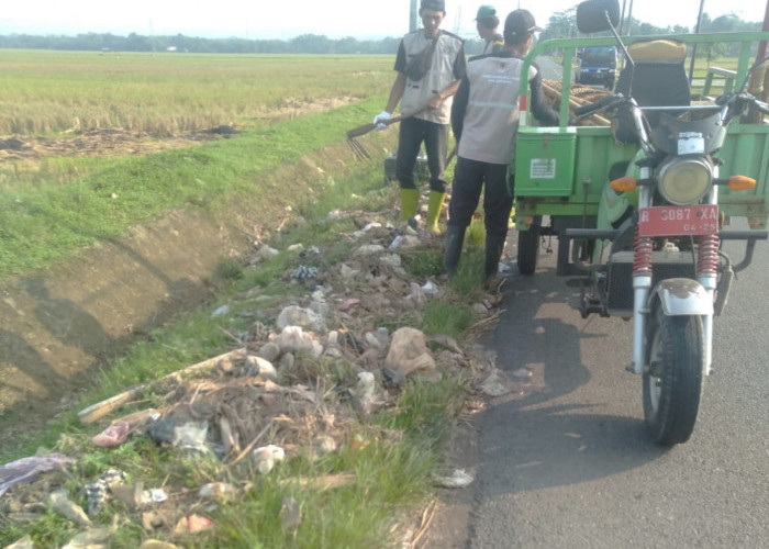 Sampah Plastik Tutup Irigasi, Pengairan 90 Hektare Sawah di Banyumas Tersendat