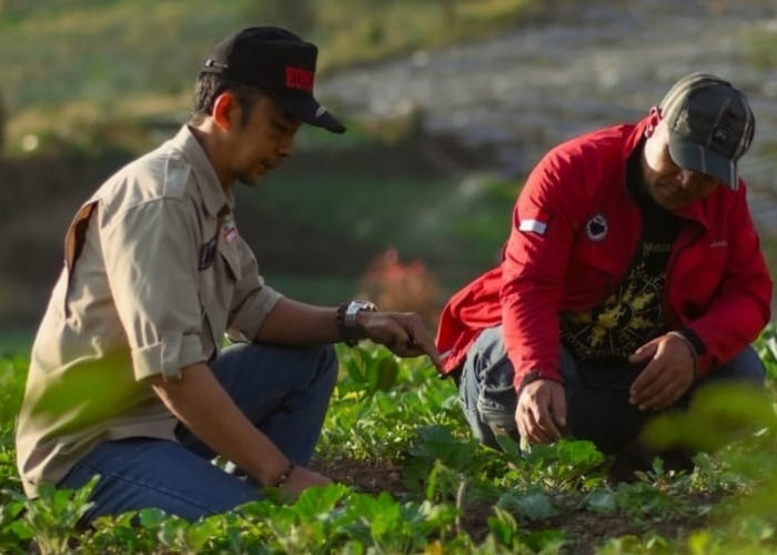 Harga Pupuk Bersubsidi Turun 20 Persen, Petani Banjarnegara Sambut Positif Langkah Presiden Prabowo