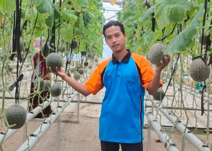 Tahun Baru, Desa Nusadadi Siapkan Wisata Petik Melon