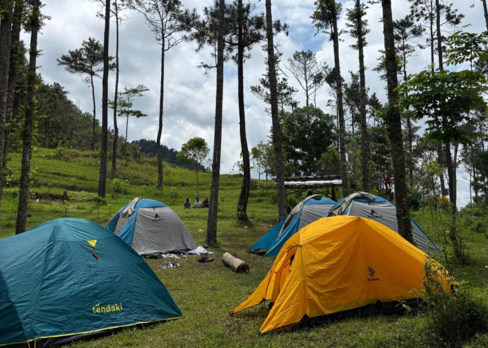 Kaliajir dan Purwasaba Resmi Jadi Desa Wisata di Banjarnegara, Punya Potensi Wisata Menjanjikan