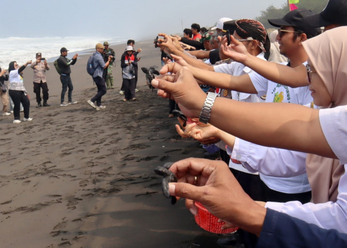 Lembupurwo Perkuat Konservasi Pesisir