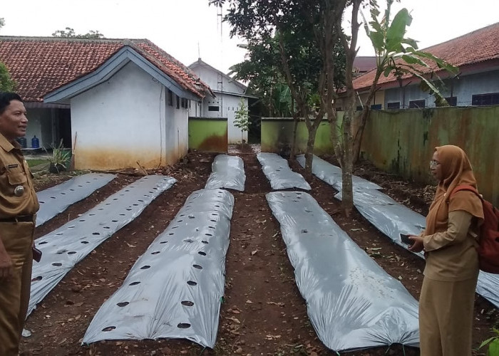 Sumpiuh Terpilih sebagai Kecamatan Berdaya