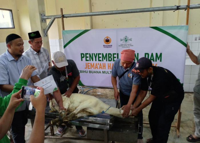 312 Jemaah Haji Purbalingga Laksanakan Dam di RPH, Gerakkan Ekonomi Peternak Lokal
