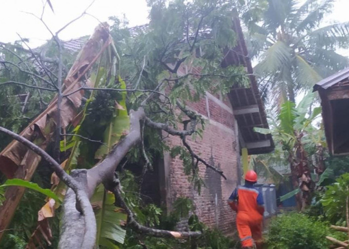 Dampak Siklon Tropis Freddy Berpotensi di Cilacap 