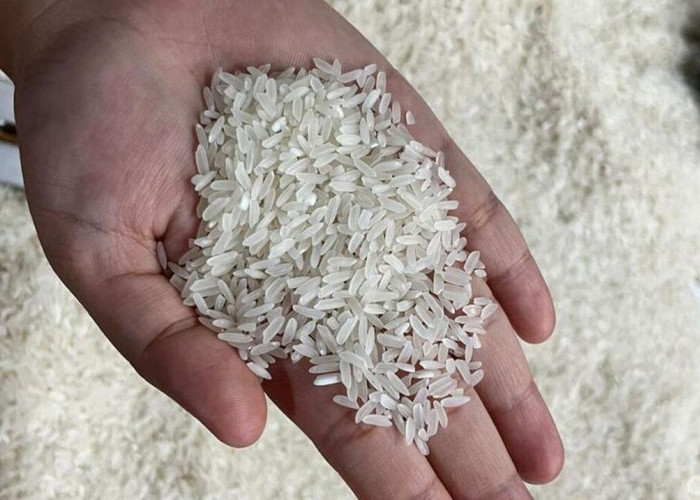 Harga Bahan Pangan Beras dan Kubis Naik di Beberapa Negara, Cuaca Ekstrem Diduga Jadi Faktor Utama