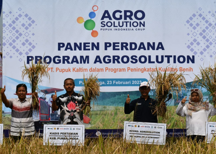 PT Pupuk Kaltim Kembangkan Agrosolution di Purbalingga, 26 Hektar Panen Perdana