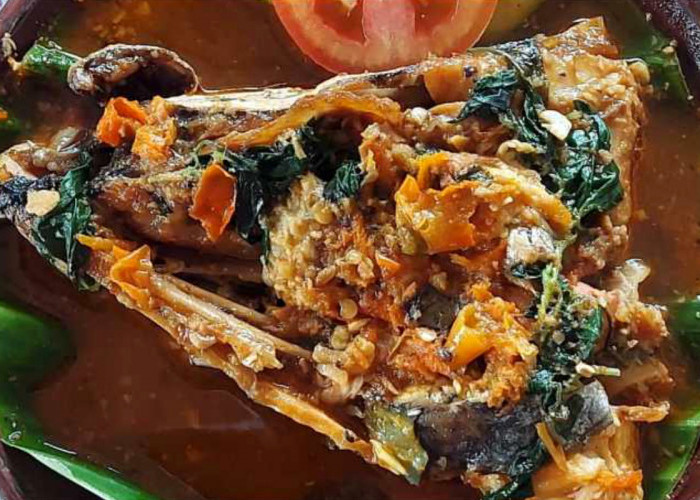 Rekomendasi Brekecek Pathak Jahan Paling Enak dan Murah di Cilacap