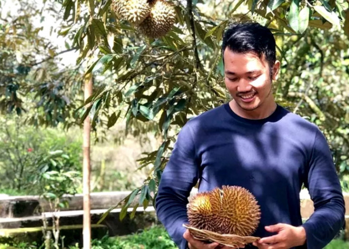 Pesona Durian Warso Farm di Bogor yang Memikat