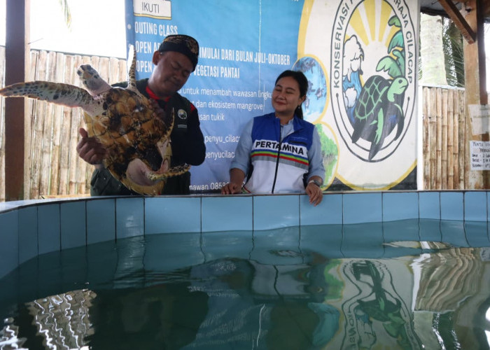Tukik Kecil, Janji Besar untuk Laut Cilacap