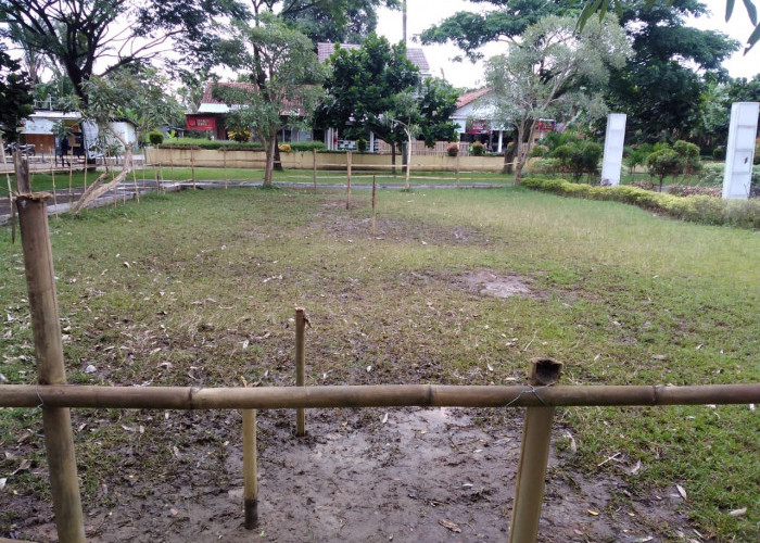 Rumput Tamkot Sumpiuh Rusak