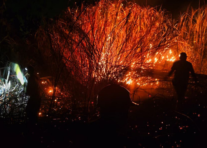 Api Bakar Setengah Hektare Bukit Suruh Wangon Banyumas, Angin Kencang Hambat Pemadaman 