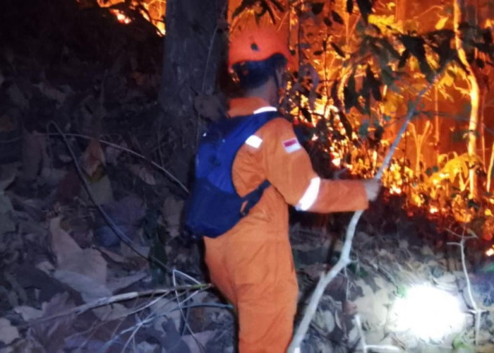 Karhutla Bakar 5 Hektare Lahan di Ajibarang-Wangon, Api Merambat ke Lereng Gunung Putri