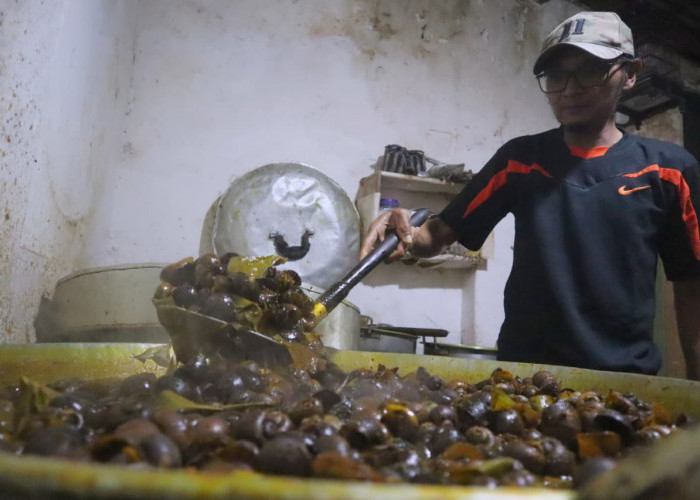 Cuaca Ekstrem Sempat Ganggu Pasokan Keong Sawah, Pedagang Keong Masak Andalkan Pasokan Luar Banyumas