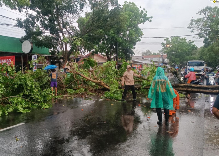 Musim Hujan Diprediksi Datang Lebih Awal, Pemkab Purbalingga Minta Masyarakat Wascapa Potensi Cuaca Ekstrem