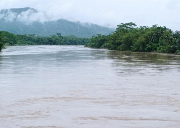 Bendung Gerak Serayu Dilevel Awas, Masyarakat di Bantaran Sungai di Minta Waspada