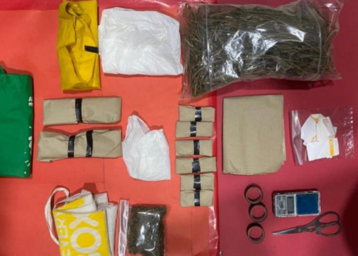 Setengah Kilo Ganja Siap Edar Diamankan dari Warga Wangon Banyumas, Polisi Buru Jaringan Pemasok