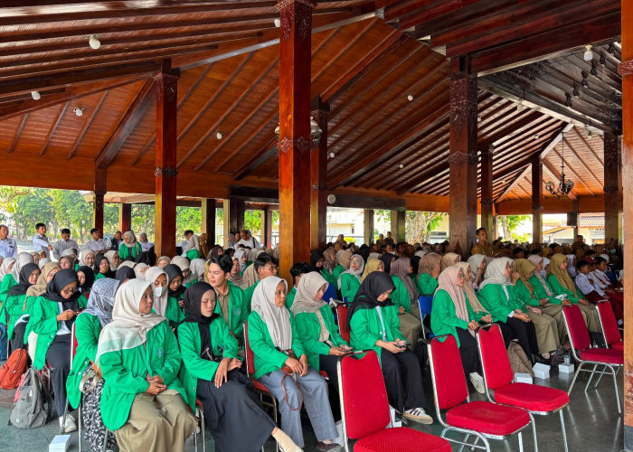 Banjarnegara Kekurangan 2.000 Guru ASN, 254 Mahasiswa UIN Saizu Turun ke Sekolah