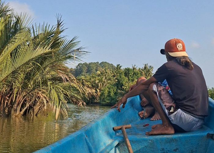 Warga Kampung Laut Cilacap Panen Rupiah dari Lidi Nipah